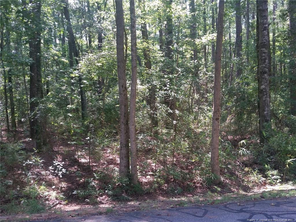 North Carolina Waterfront Property in Fayetteville, Elizabethtown, Bay